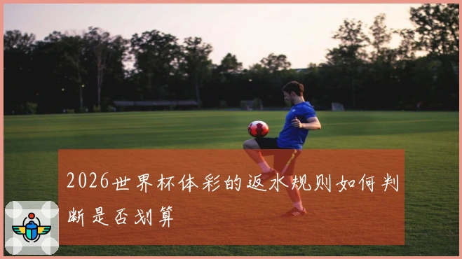 2026世界杯体彩的返水规则如何判断是否划算